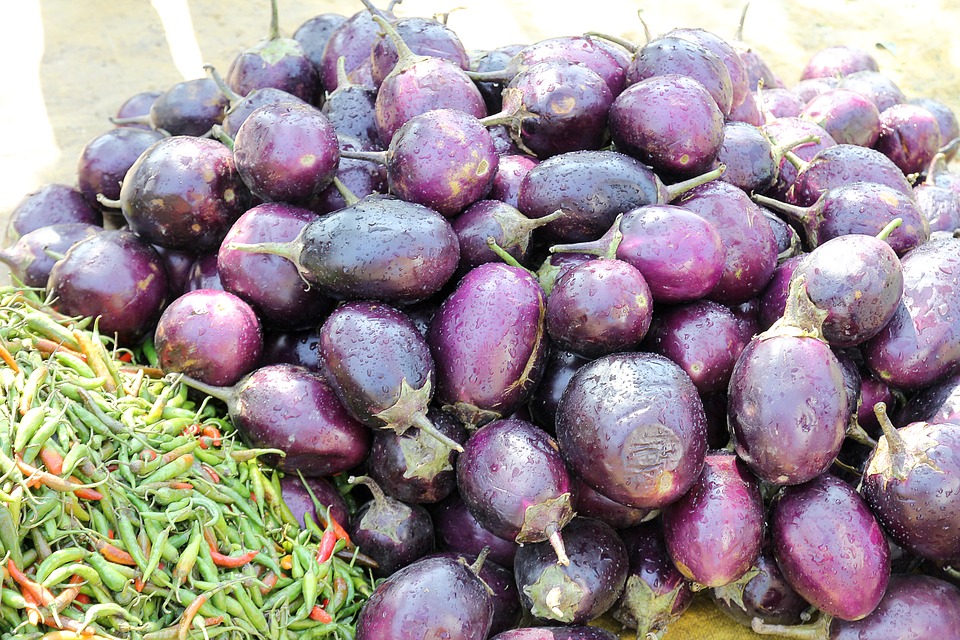 eggplant